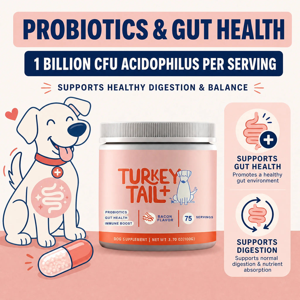 Probiótico em Grânulos para Cães com Cogumelo Turkey Tail – Sabor Bacon