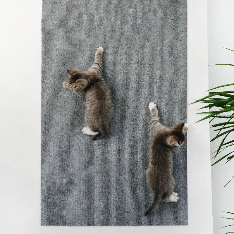 Tapete Arranhador Autoadesivo para Gatos – Protetor de Sofá Recortável