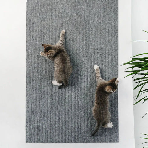 Tapete Arranhador Autoadesivo para Gatos – Protetor de Sofá Recortável